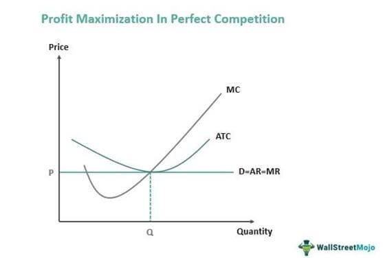 Maximizing Your Travel Rewards and Points