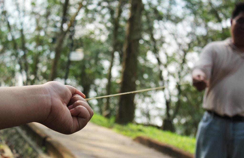 - Connecting ‌with Nature and Spirituality: Unique Cultural Festivals⁢ Celebrating the Earth and Traditional‍ Beliefs