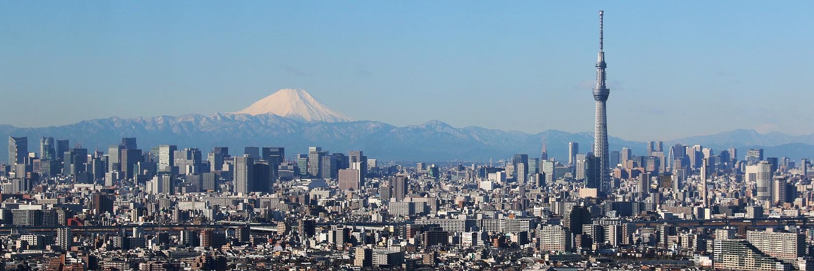 Immersing in Tokyo's Culinary Scene