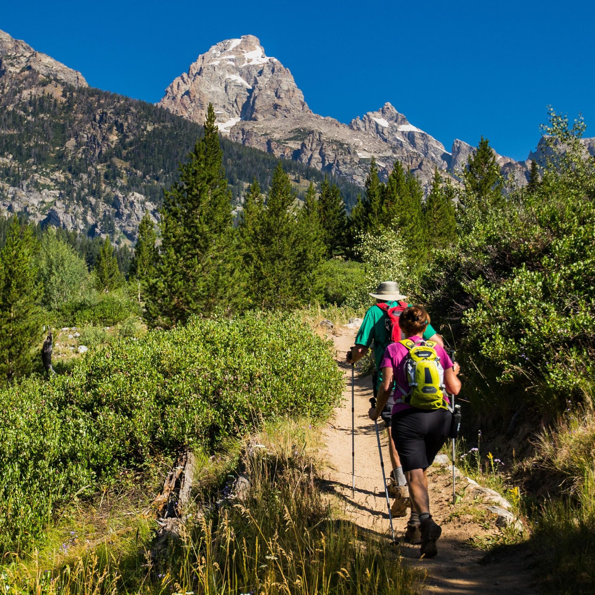 Best Hiking Trails for Beginners: A Guide to Outdoor Adventure