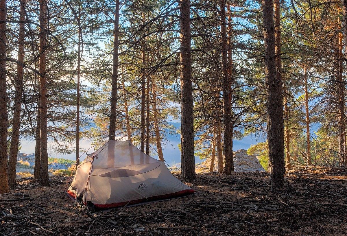 Camping Essentials: Gear Guide for Your Next Outdoor Trip