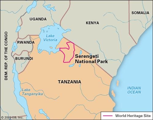 - Exploring the Serengeti: Witness the Great Migration and Big Five